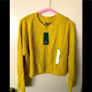 Mustard Sweater